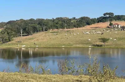 Oportunidade imperdível glebas rurais com expansão urbana ao lado da 101