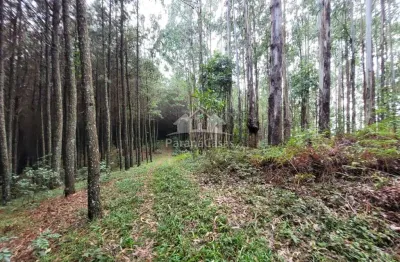 Terreno à venda na estrada municipal, rio abaixo, bocaiúva do sul por r$ 1.300.000