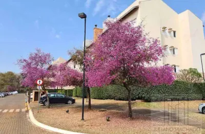 Oportunidade!!! apartamento à venda no bosque das caviúnas, 3 quartos