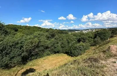 Terreno à venda na 
     Avenida Verona
, Vargem Grande, Jarinu