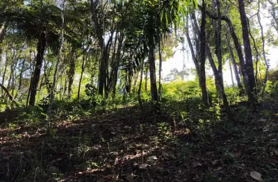 Terreno à venda, 1000 m² por r$ 240 mil  - jardim lago da cantareira /sp - mairiporã