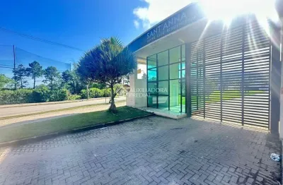 Terreno em condomínio fechado à venda na estrada dário manoel cardoso, 2350, ingleses do rio vermelho, florianópolis, 380 m2 por r$ 480.000