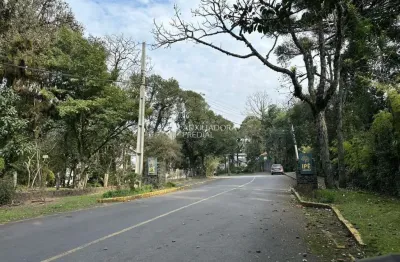 Terreno à venda na rua do louro, 10, ipê amarelo, gramado, 532 m2 por r$ 629.000