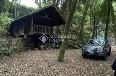 Fazenda à venda na palmas, s/n, 132, linha palmas (distrito), arroio do meio, 8000 m2 por r$ 440.000