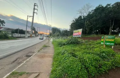 Terreno comercial à venda na rua carlos sphor filho, 5675645345, moinhos, lajeado, 3050 m2 por r$ 1.500.000