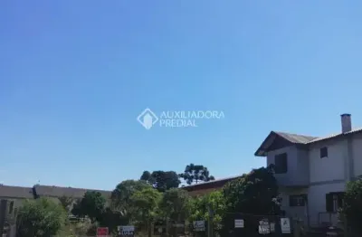 Terreno comercial para alugar na rua josé joaquim velho, 277, centro, canela, 2030 m2 por r$ 1.900
