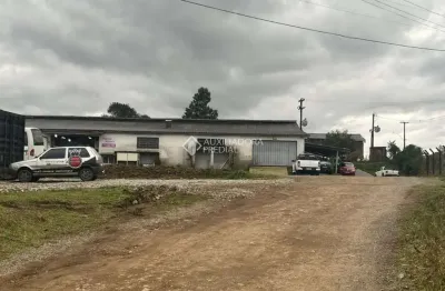 Barracão / galpão / depósito para alugar na júlio travi, 160, distrito industrial, canela, 445 m2 por r$ 6.500