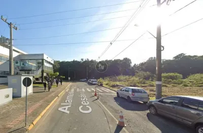 Terreno comercial para alugar na alameda lourival cesário pereira, 99, nova esperança, camboriú por r$ 7.700