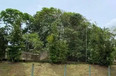 Terreno à venda, 780 m² por r$ 650.000,00 - bom retiro - joinville/sc