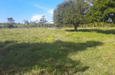 Terreno à venda, 132011mil m² por r$ 85.000.000 - barra do itapocú - araquari/sc