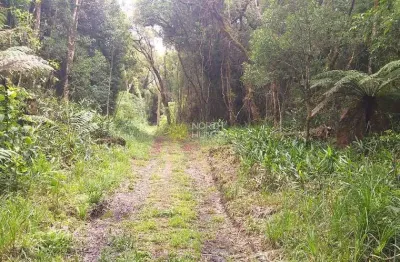 Chácara em lageado com 193.600mil m², distante 600m da rodovia