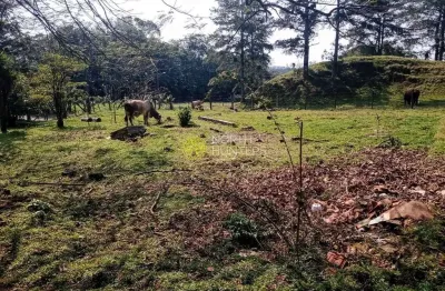 Chácara com 3 dormitórios à venda, 37266 m² - vila nova - joinville/sc