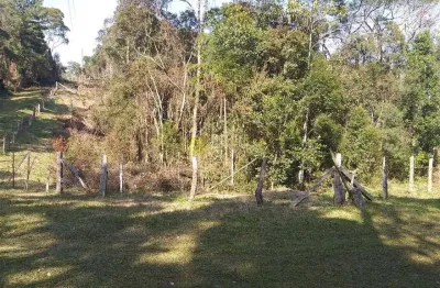 Chácara  à venda, 289806 m² por r$ 3.200.000 - centro - campo alegre/sc