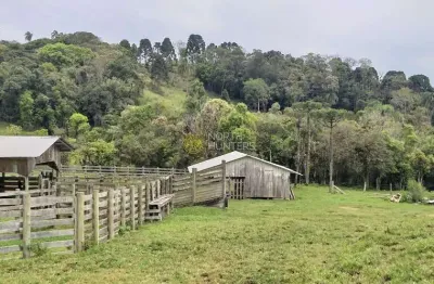 Fazenda à venda, 248.400.00 mil m² - zona rural - campo alegre/sc