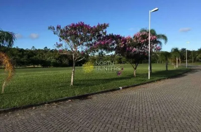 Terreno à venda na Rua Dário Manoel Cardoso, Ingleses do Rio Vermelho, Florianópolis