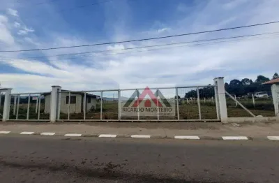 Terreno para alugar, 3970 m² por r$ 8.000,00/mês - feital - pindamonhangaba/sp