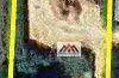 Terreno à venda, 7500 m² por r$ 1.650.000,00 - moreira césar - pindamonhangaba/sp