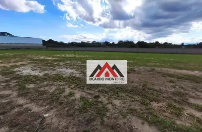 Terreno industrial à venda, 2000 m² por r$ 1.100.000 - flor do vale - tremembé/sp