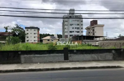 Terreno à venda, 1945 m² - santo antônio - joinville/sc