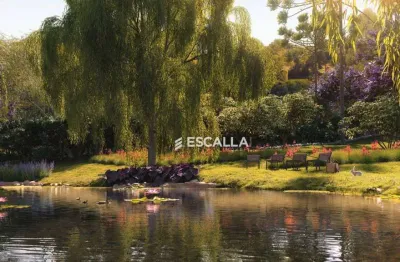 Terreno em condomínio fechado em campo alegre | fazenda araçá