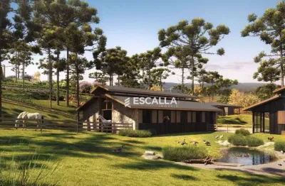 Terreno em condomínio fechado de luxo à venda em campo alegre | fazenda araçá