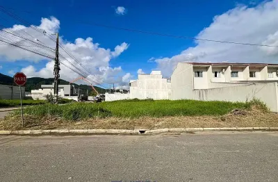 Terreno à venda na rua rio das flores, rio pequeno, camboriú, 423 m2 por r$ 650.000