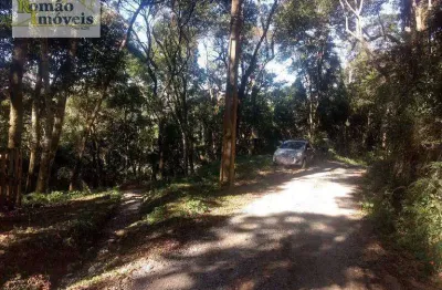 Terreno à venda, 800 m² por r$ 85.000,00 - boa vista - mairiporã/sp