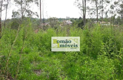 Terreno à venda, 5002 m² por r$ 230.000,00 - cerros de mairiporã - mairiporã/sp