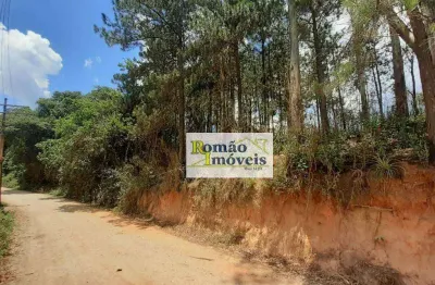 **oportunidade única! área rural no bairro dos marmelos - mairiporã**
