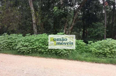 Terreno à venda, 1461 m² por r$ 200.000,00 - jardim cinco lagos de santa maria - mairiporã/sp