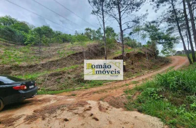 **oportunidade** terreno à venda, 891 m² por r$ 80.000 - mirante da mantiqueira - mairiporã/sp