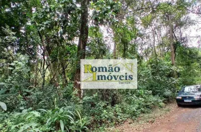 Terreno à venda, 1250 m² por r$ 60.000,00 - mato dentro - mairiporã/sp