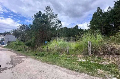 Terreno à venda, 4800 m² por r$ 360.000,00 - jardim paraiso - mairiporã/sp