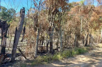 Terreno à venda no Mato Dentro, Mairiporã 