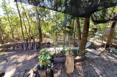 Terreno à venda, 1200 m² por R$ 165.000,00 - Paineiras de Mairiporã - Mairiporã/SP