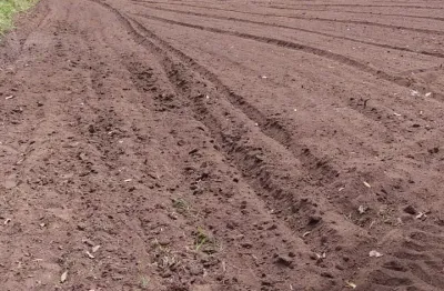 Fazenda à venda na Praça do Comércio, Zona Rural, Bonito