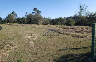 Terreno à venda, 6000 m² por r$ 650.000,00 - ivoturucaia - jundiaí/sp