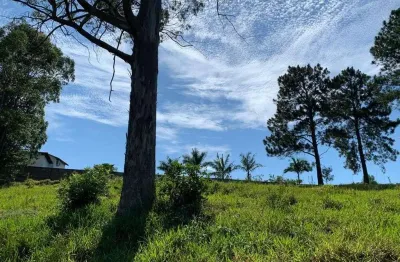 Terreno à venda, 5000 m² por r$ 640.000,00 - ivoturucaia - jundiaí/sp