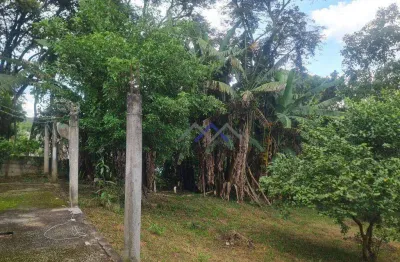Chácara com 4 dormitórios à venda, 1800 m² por r$ 430.000,00 - pau arcado - campo limpo paulista/sp