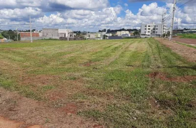 Terreno à venda na Rua Fridolino Manoel Ferreira, 001, Brazmadeira, Cascavel