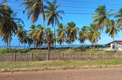 Lote para venda de 1.000 m² - carnaubinha, touros/rn