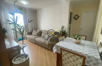 Vende - lindo apartamento - 55m² - condomínio riviera francesa - jd moreira - guarulhos - sp.
