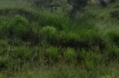 Terreno à venda no são damião, vespasiano  por r$ 500.000