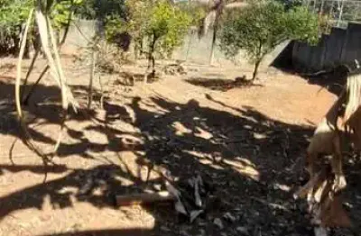 Terreno à venda em Braúnas, Belo Horizonte 