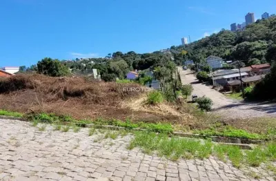 Terreno à venda na Rua Domênico Zanetti, 30, Imigrante, Bento Gonçalves