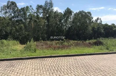 Terreno à venda na Alameda Reserva Do Vale, 28, Borghetto, Garibaldi