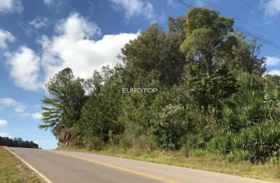 Terreno à venda na Linha Palmeiro, São Pedro, Bento Gonçalves