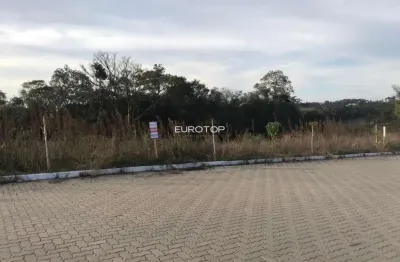 Terreno à venda na Rua José de Carli, 80 ou 81, Tuiuty (Distrito), Bento Gonçalves