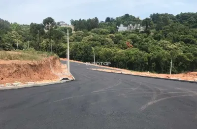 Terreno à venda na Rua Plauto de Abreu, Santo Antão, Bento Gonçalves