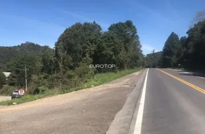 Terreno à venda na Rs 453, Tamandaré, Garibaldi